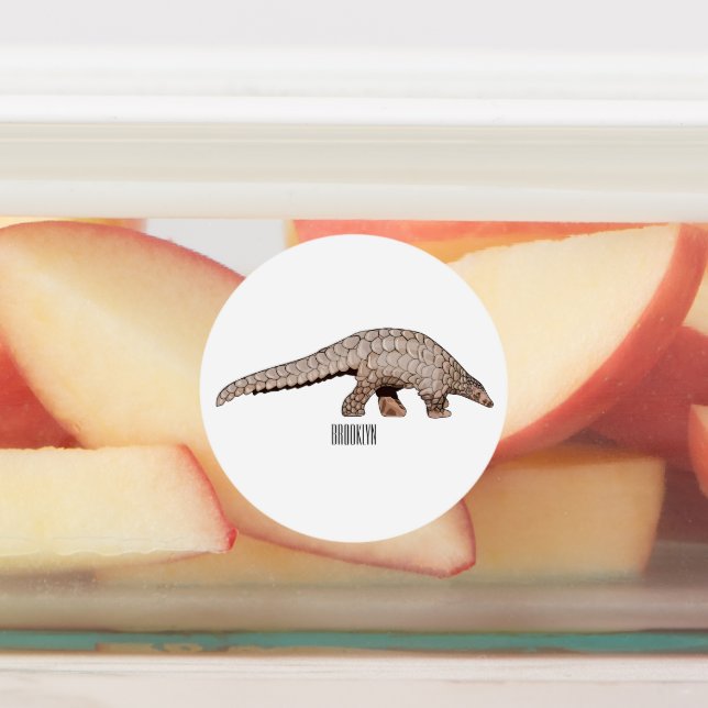 Pangolin cartoon illustration labels (Affixed)