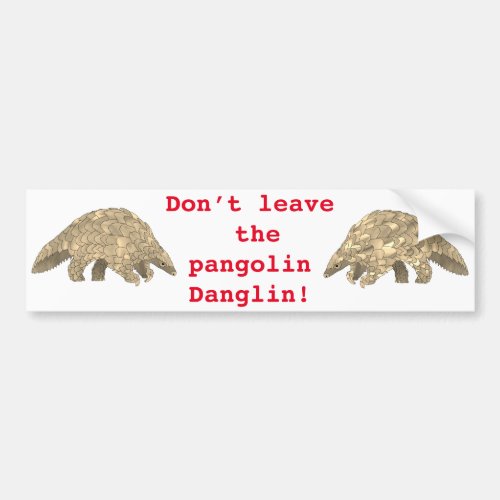 Pangolin Danglin Endangered Species Cute Animal Bumper Sticker