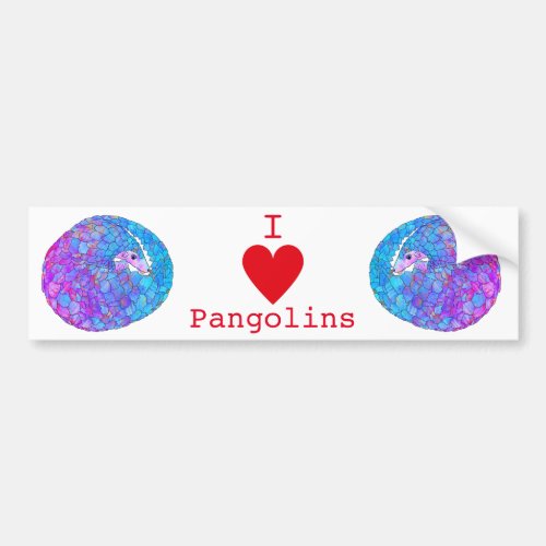 Pangolin Endangered Animal  Bumper Sticker
