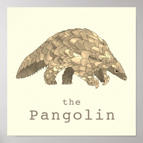 Pangolin Endangered Animal Rights Activism Art  Poster