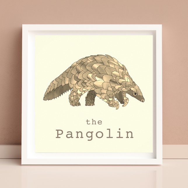 Pangolin Endangered Animal Rights Activism Art  Poster (Cute pangolin rare wildlife animal art poster by artist Catherine Sweetman )