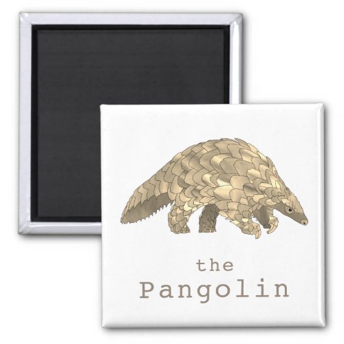 Pangolin Endangered Species Magnet
