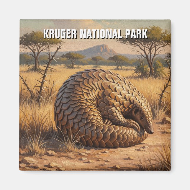 Pangolin in Kruger National Park South Africa Magnet (Front)