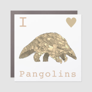 Pangolin rare Endangered trafficked Animal nature Car Magnet