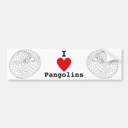 Pangolin rare Endangered trafficked Animal slogan Bumper Sticker