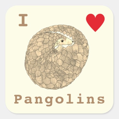 Pangolin rare Endangered trafficked Animal Square Sticker