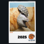 Pangolin Rescue Fund Calendar 2025<br><div class="desc">Every single pangolin showcased in our 2025 calendar has benefited from the rehabilitation efforts of Scale's Pangolin Rescue Fund. As you admire these breathtaking images all year long, take comfort in the knowledge that your purchase has contributed to the conservation of more pangolins, similar to these adorable creatures, since all...</div>