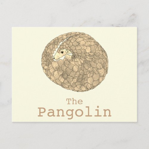 Pangolin Wildlife Endangered Species Animal Art Postcard