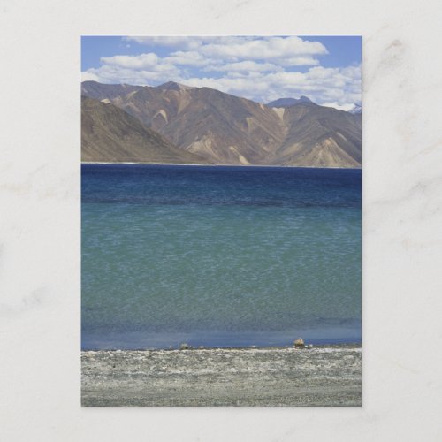 Pangong Lake Ladakh India Postcard