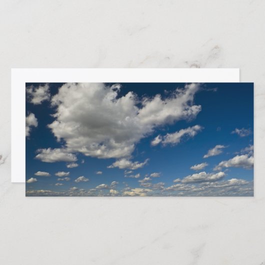 panorama (Front/Back)