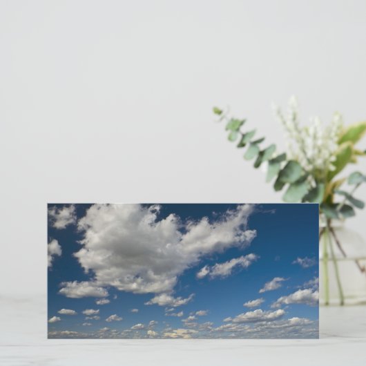 panorama (Standing Front)