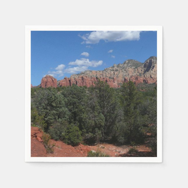 Panorama of Red Rocks in Sedona Arizona Paper Napkins (Front)