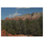 Panorama of Red Rocks in Sedona Arizona Wood Poster