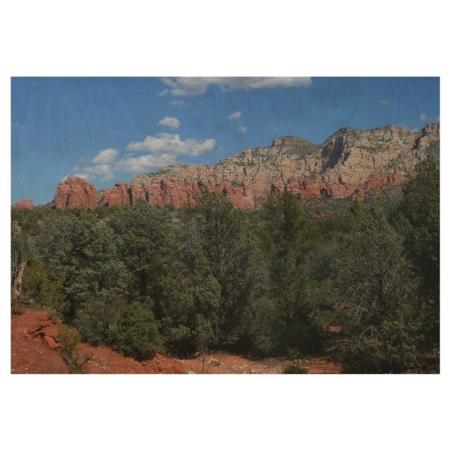 Panorama of Red Rocks in Sedona Arizona Wood Poster (Front)