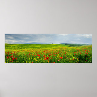 Panorama of Tuscan landscape Poster