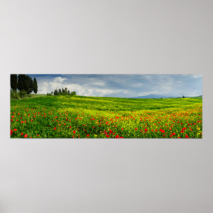 Panorama of Tuscan landscape Poster