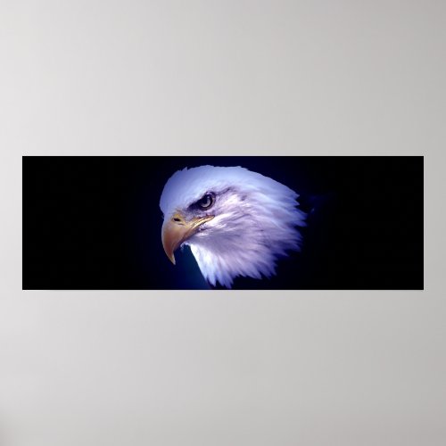 Panoramic American Bald Eagle Poster Print