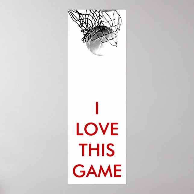 Panoramic Basketball Poster (Front)