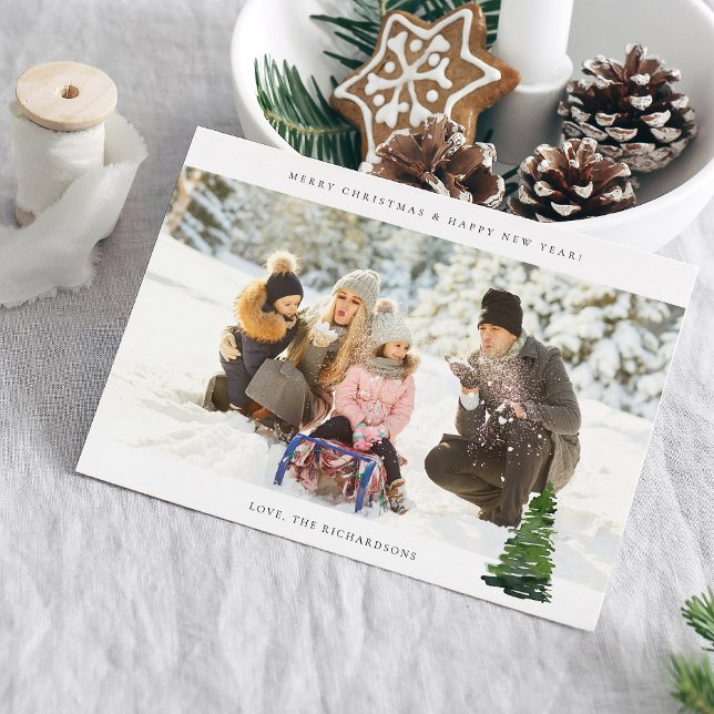  Panoramic Chic H Photo - Christmas Tree (Creator Uploaded)