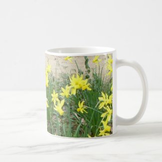 Panoramic Daffodil Flowers Mug