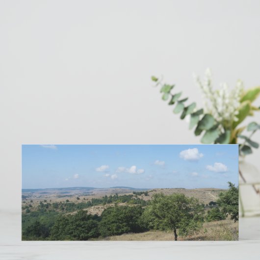 Panoramic landscape (Standing Front)