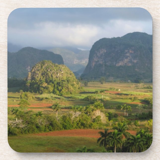 Panoramic valley landscape, Cuba Beverage Coaster (Front)