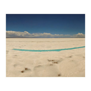 Panoramic View Of Argentinian Salt Flats Wood Wall Art