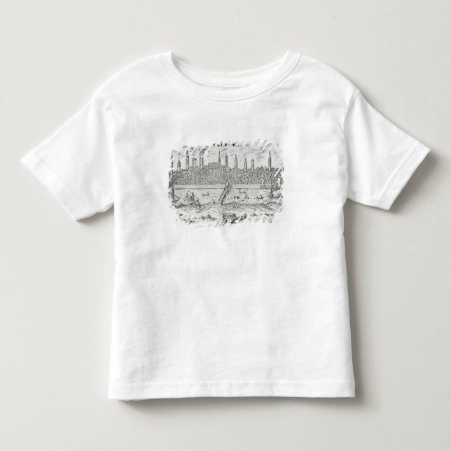 Panoramic view of Ferrara Toddler T-shirt (Front)