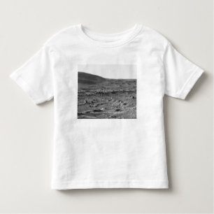 Panoramic view of Mars 6 Toddler T-shirt