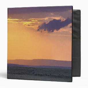 Panoramic view of single acacia tree at 3 ring binder