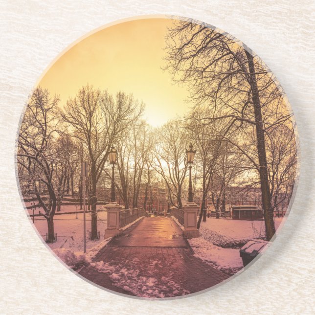 Panoramic view of snowy park during sunset in Riga Coaster (Front)