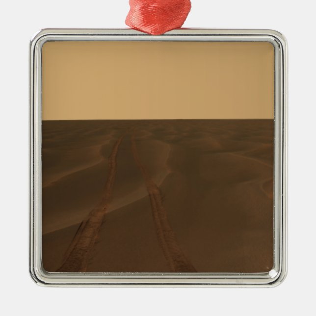 Panoramic view of the plains of Meridiani Metal Ornament (Front)