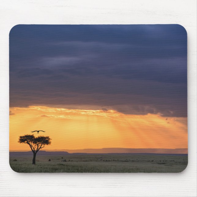 Panoramic view of Vulture and acacia tree Mouse Pad (Front)