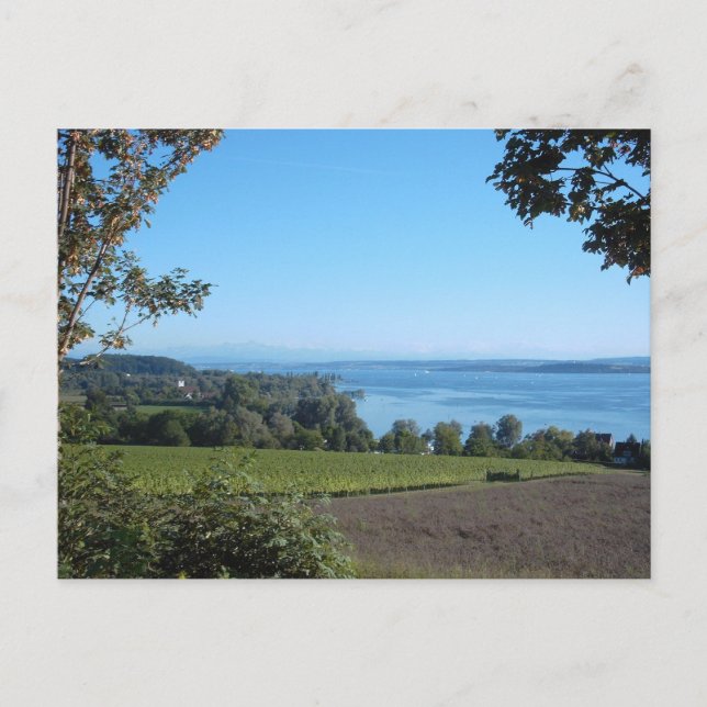 Panoramic View over Lake Constance Postcard (Front)