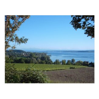 Panoramic View over Lake Constance Postcard