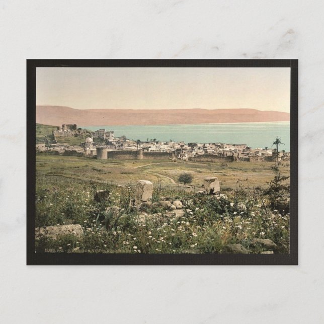 Panoramic view, Tiberias, Holy Land, (i.e., Israel Postcard (Front)