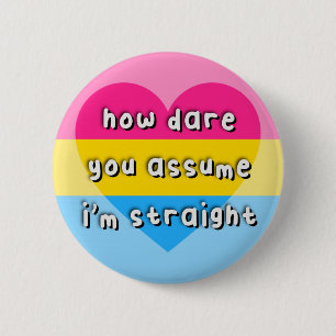 Panromantic Pride - "How Dare You Assume" - LGBT Button