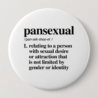 Pansexual Definition - Defined LGBTQ Terms - Pinback Button