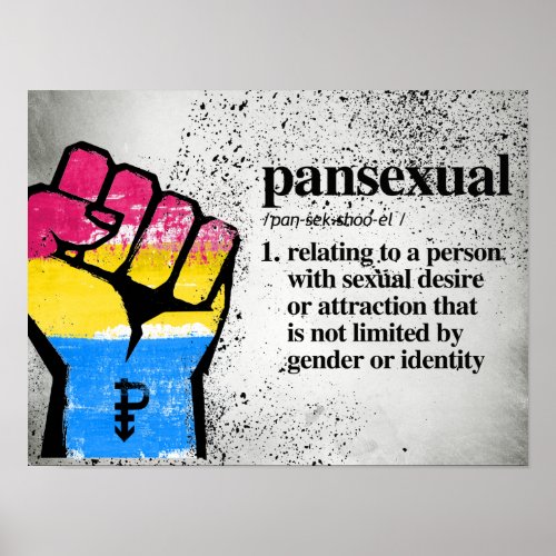 Pansexual Definition _ Defined LGBTQ Terms _ Poster