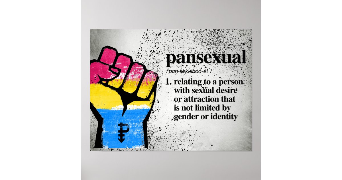 Pansexual Definition Defined Lgbtq Terms Poster Zazzle