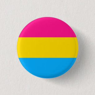 Pansexual Flag Badge Button
