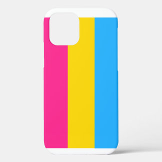 Pansexual flag iPhone 12 case
