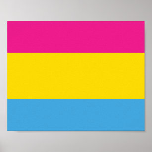 Pansexual Flag Posters