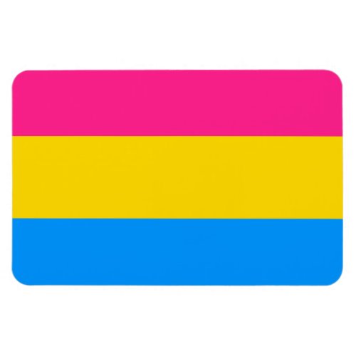 PANSEXUAL FLAG STRIPES _png Magnet