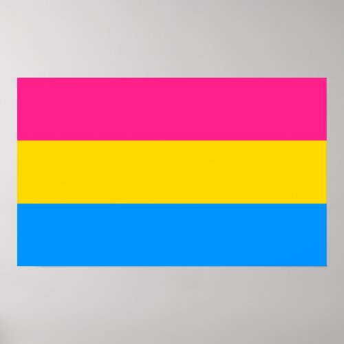 Pansexual Pride Colors Poster