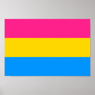 Pansexual Pride Colors Poster