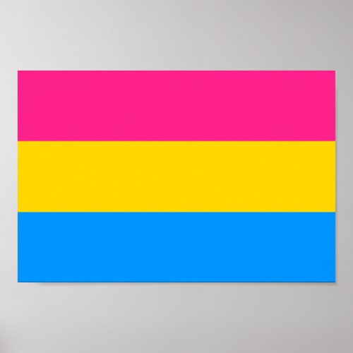 Pansexual Pride Colors Poster