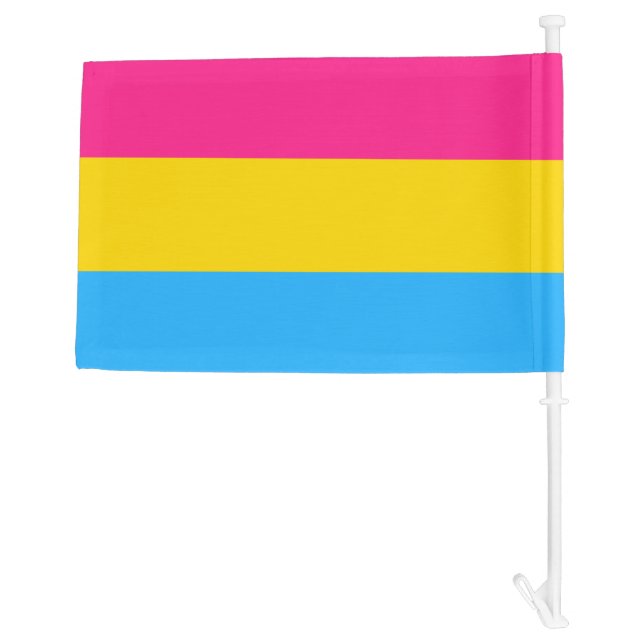 Pansexual Pride Flag (Back)