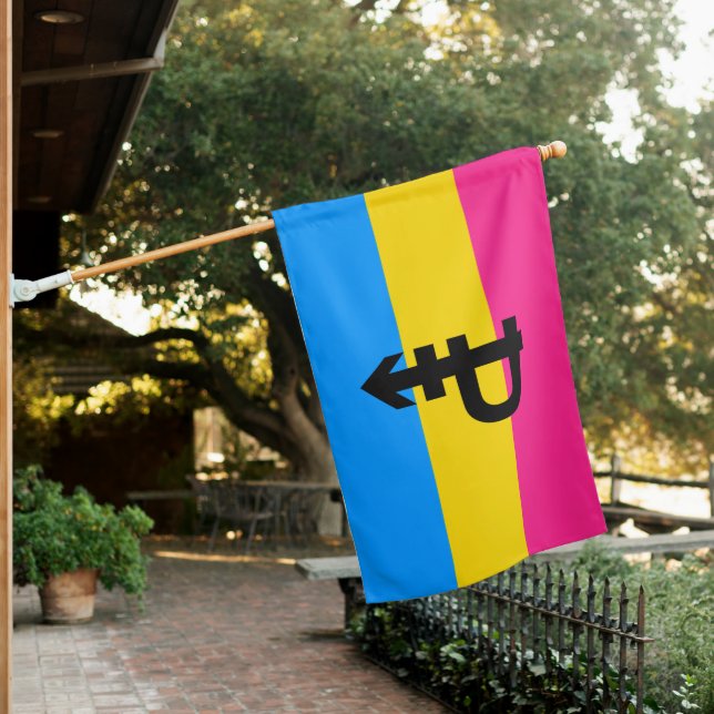Pansexual Pride Flag (In SItu)