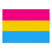 "PANSEXUAL PRIDE FLAG" (Front Horizontal)